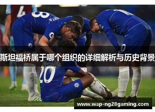 斯坦福桥属于哪个组织的详细解析与历史背景 斯坦福桥属于哪个组织的详细解析与历史背景