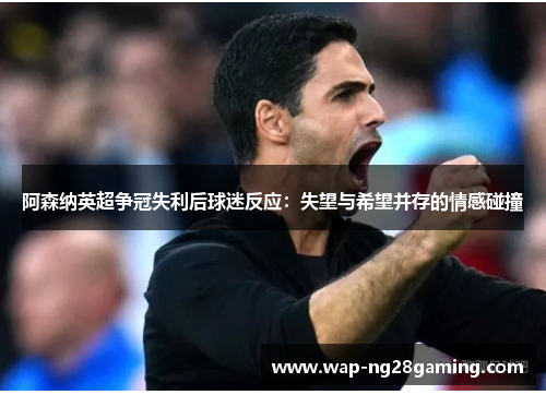 阿森纳英超争冠失利后球迷反应:失望与希望并存的情感碰撞 阿森纳英超争冠失利后球迷反应:失望与希望并存的情感碰撞