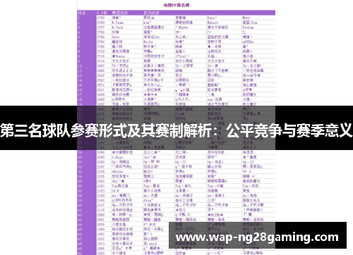 第三名球队参赛形式及其赛制解析：公平竞争与赛季意义