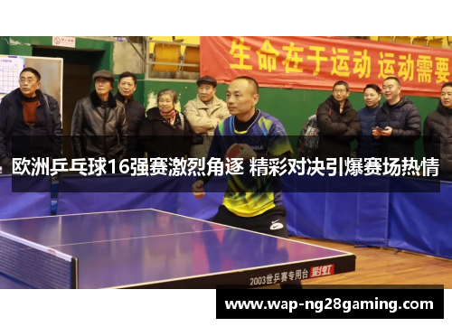 欧洲乒乓球16强赛激烈角逐 精彩对决引爆赛场热情