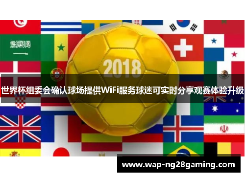 世界杯组委会确认球场提供WiFi服务球迷可实时分享观赛体验升级